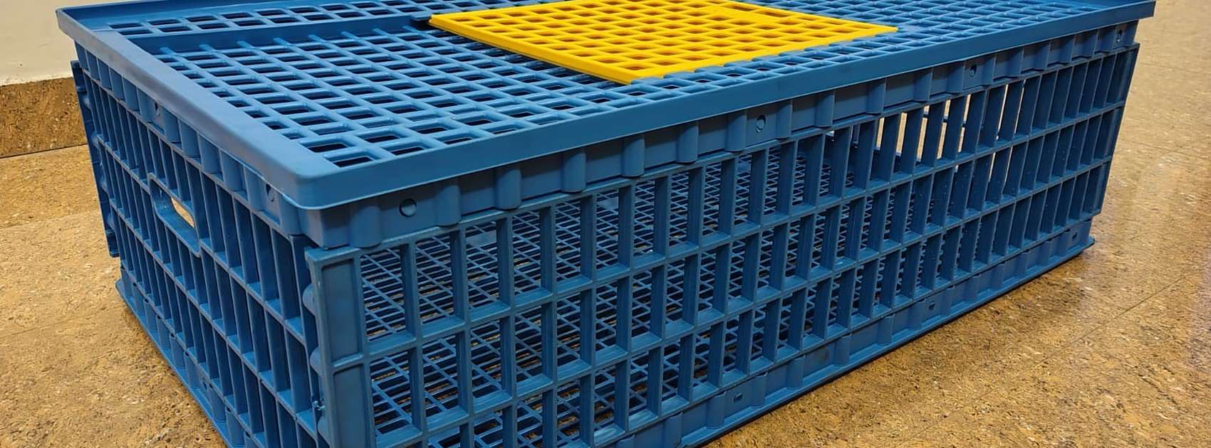Blue plastic poultry transport crate with ventilated crate lid