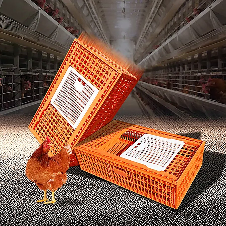 Poultry transport crate